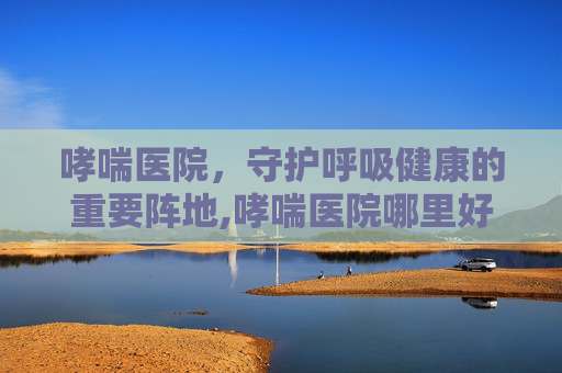 哮喘医院，守护呼吸健康的重要阵地,哮喘医院哪里好