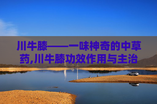 川牛膝——一味神奇的中草药,川牛膝功效作用与主治