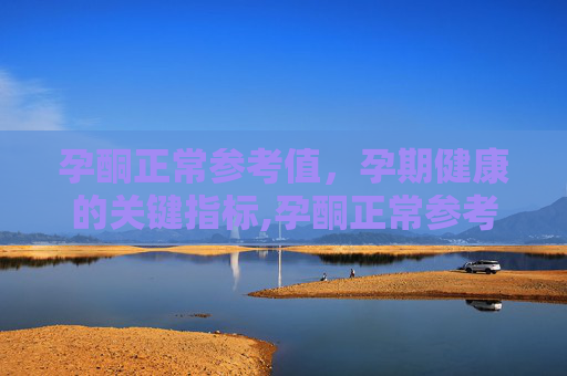 孕酮正常参考值，孕期健康的关键指标,孕酮正常参考值nmol