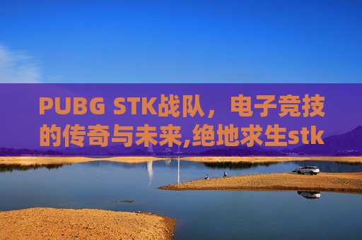 PUBG STK战队，电子竞技的传奇与未来,绝地求生stk战队