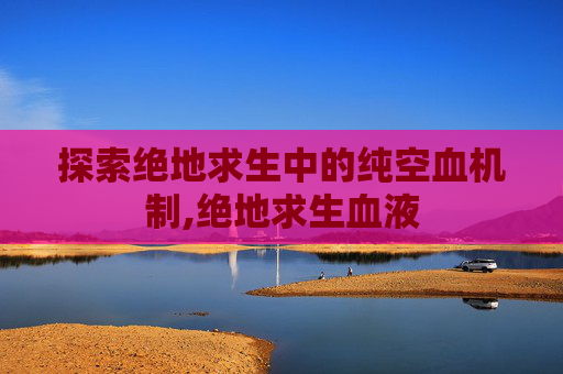 探索绝地求生中的纯空血机制,绝地求生血液