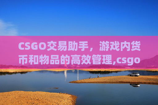 CSGO交易助手，游戏内货币和物品的高效管理,csgo交易软件下载