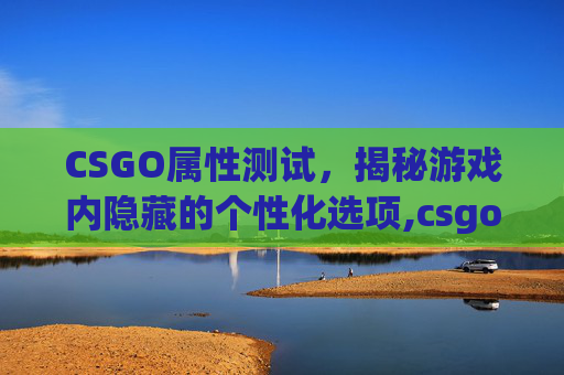 CSGO属性测试，揭秘游戏内隐藏的个性化选项,csgo属性测试1.37.5.9