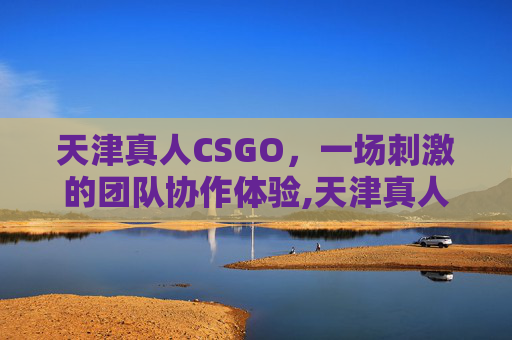 天津真人CSGO，一场刺激的团队协作体验,天津真人cs基地哪个好玩