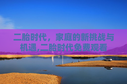 二胎时代，家庭的新挑战与机遇,二胎时代免费观看
