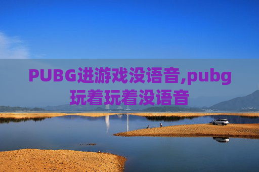 PUBG进游戏没语音,pubg玩着玩着没语音