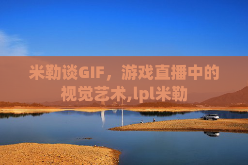 米勒谈GIF，游戏直播中的视觉艺术,lpl米勒