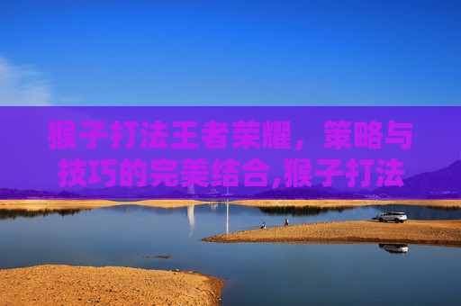 猴子打法王者荣耀，策略与技巧的完美结合,猴子打法王者荣耀视频
