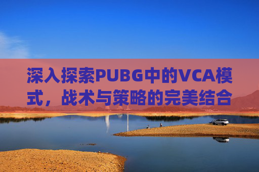 深入探索PUBG中的VCA模式，战术与策略的完美结合,pubg什么是机器码