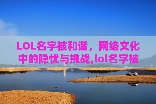 LOL名字被和谐，网络文化中的隐忧与挑战,lol名字被和谐了怎么办