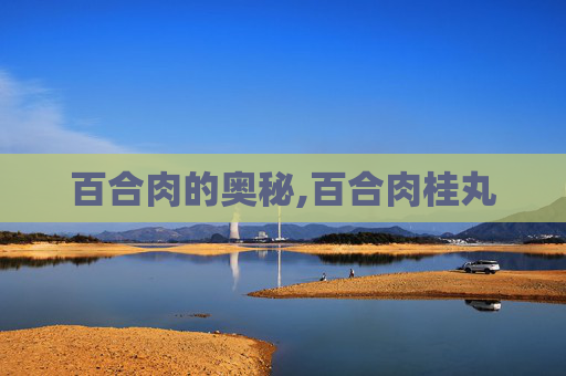 百合肉的奥秘,百合肉桂丸