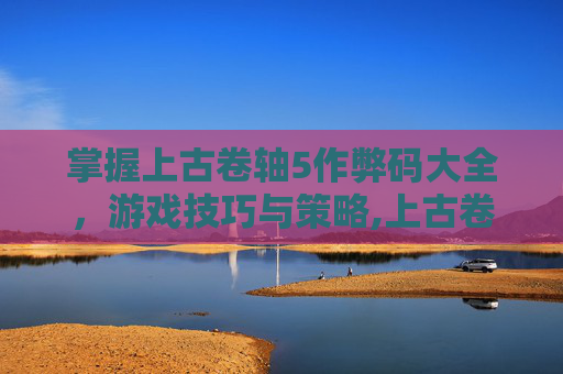 掌握上古卷轴5作弊码大全，游戏技巧与策略,上古卷轴5做弊码