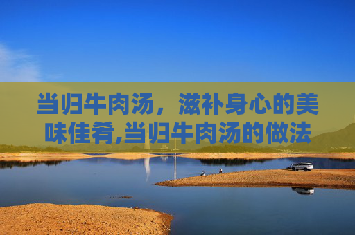 当归牛肉汤，滋补身心的美味佳肴,当归牛肉汤的做法及配料