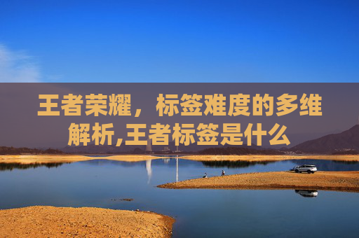王者荣耀，标签难度的多维解析,王者标签是什么