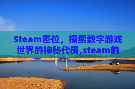 Steam密位，探索数字游戏世界的神秘代码,steam的密码要求怎么写