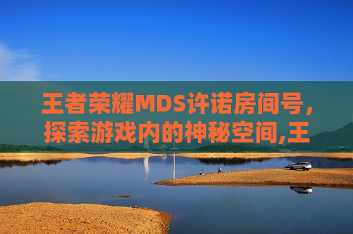 王者荣耀MDS许诺房间号，探索游戏内的神秘空间,王者荣耀许诺资料