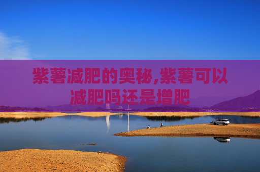 紫薯减肥的奥秘,紫薯可以减肥吗还是增肥