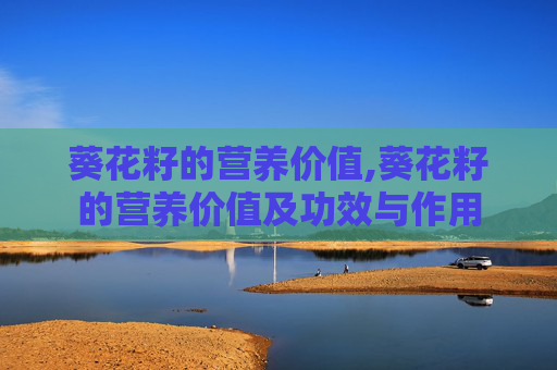 葵花籽的营养价值,葵花籽的营养价值及功效与作用
