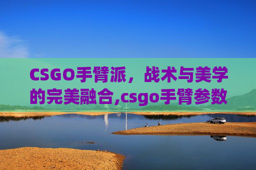 CSGO手臂派，战术与美学的完美融合,csgo手臂参数大全