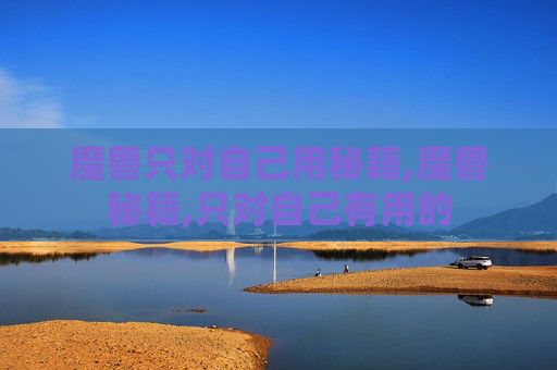 魔兽只对自己用秘籍,魔兽秘籍,只对自己有用的