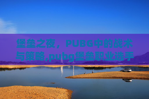 堡垒之夜，PUBG中的战术与策略,pubg堡垒职业选手