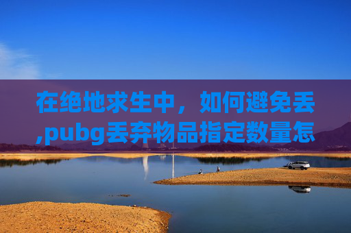 在绝地求生中，如何避免丢,pubg丢弃物品指定数量怎么设置