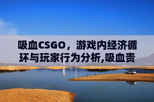 吸血CSGO，游戏内经济循环与玩家行为分析,吸血贵利王