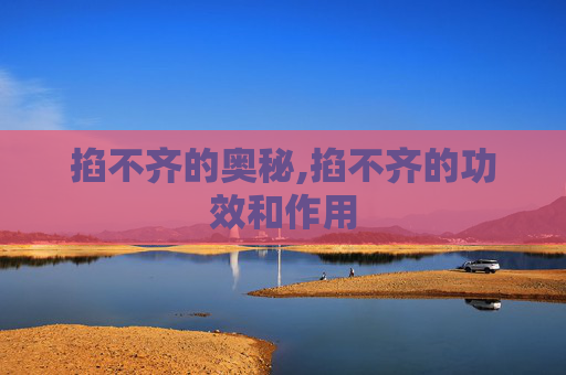 掐不齐的奥秘,掐不齐的功效和作用