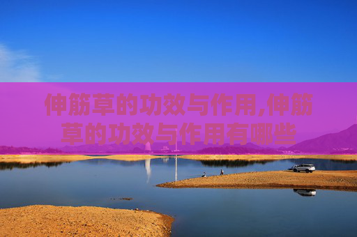 伸筋草的功效与作用,伸筋草的功效与作用有哪些