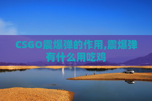 CSGO震爆弹的作用,震爆弹有什么用吃鸡