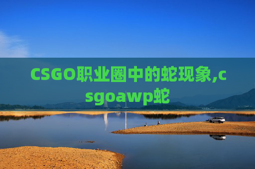 CSGO职业圈中的蛇现象,csgoawp蛇