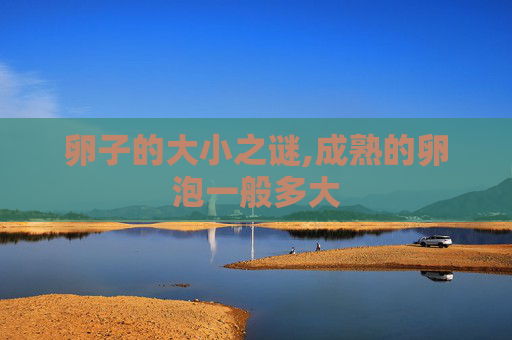 卵子的大小之谜,成熟的卵泡一般多大