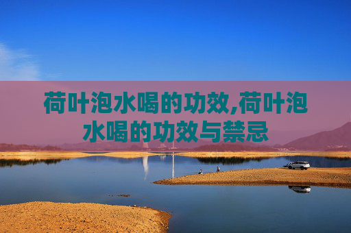 荷叶泡水喝的功效,荷叶泡水喝的功效与禁忌
