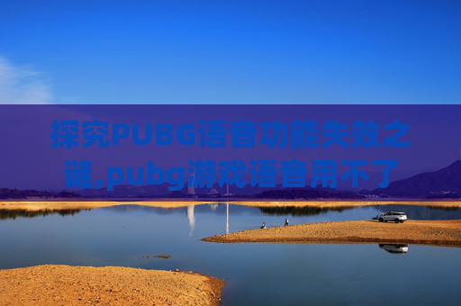 探究PUBG语音功能失效之谜,pubg游戏语音用不了