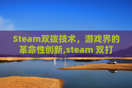 Steam双拨技术，游戏界的革命性创新,steam 双打