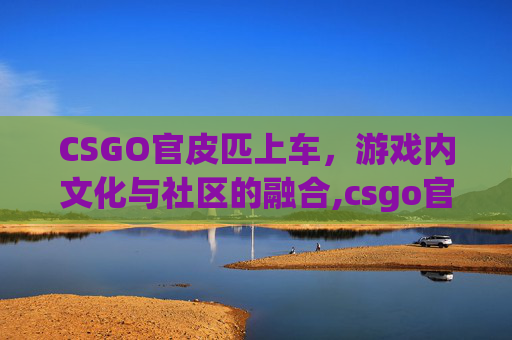 CSGO官皮匹上车，游戏内文化与社区的融合,csgo官皮是什么意思
