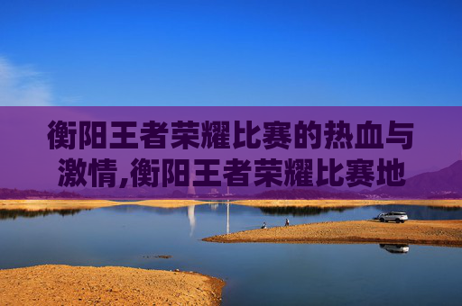 衡阳王者荣耀比赛的热血与激情,衡阳王者荣耀比赛地点