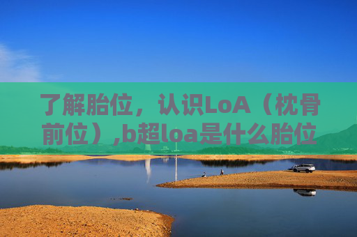 了解胎位，认识LoA（枕骨前位）,b超loa是什么胎位