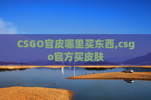 CSGO官皮哪里买东西,csgo官方买皮肤