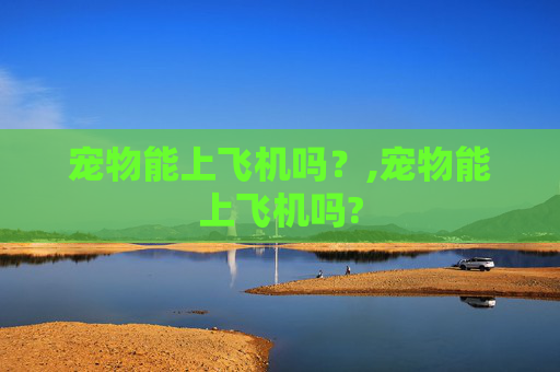 宠物能上飞机吗？,宠物能上飞机吗?