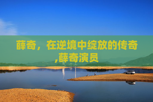 薛奇，在逆境中绽放的传奇,薛奇演员