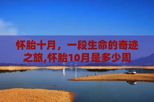 怀胎十月，一段生命的奇迹之旅,怀胎10月是多少周