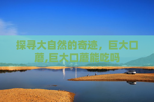 探寻大自然的奇迹，巨大口蘑,巨大口蘑能吃吗