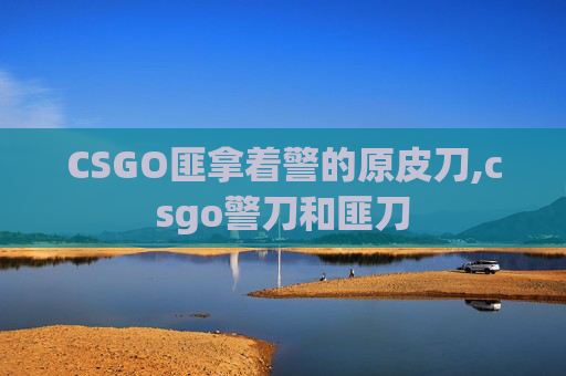 CSGO匪拿着警的原皮刀,csgo警刀和匪刀