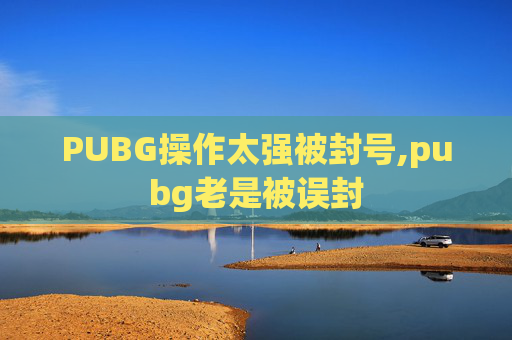 PUBG操作太强被封号,pubg老是被误封