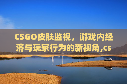 CSGO皮肤监视，游戏内经济与玩家行为的新视角,csgo检查皮肤参数