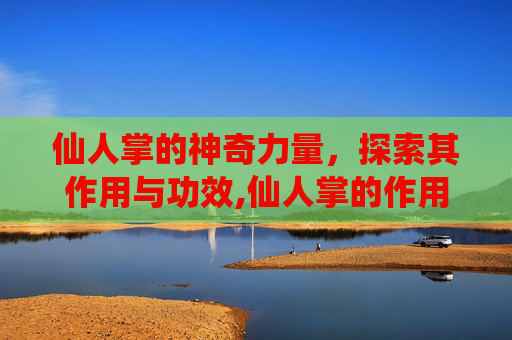 仙人掌的神奇力量，探索其作用与功效,仙人掌的作用与功效吃法大全