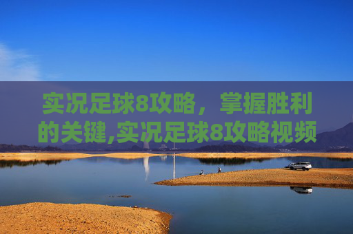 实况足球8攻略，掌握胜利的关键,实况足球8攻略视频