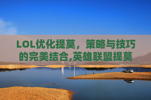 LOL优化提莫，策略与技巧的完美结合,英雄联盟提莫增强
