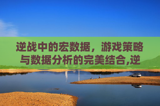 逆战中的宏数据,游戏策略与数据分析的完美结合,逆战宏数据大全 逆战中的宏数据,游戏策略与数据分析的完美结合,逆战宏数据大全